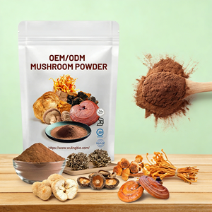 OEM Mezcla de Melena de León, Maitake, Chaga, Cordyceps, <span class=keywords><strong>Ganoderma</strong></span> Reishi, Extracto de Hongos en Polvo, Fórmula Multihongos, Marca Privada - Product Image 3