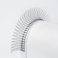 Extensions de cils de volume d'usine 2D 0.05 0.07 0.1MM noir rose bleu ventilateurs de cils préfabriqués tige courte Extensions de cils russes