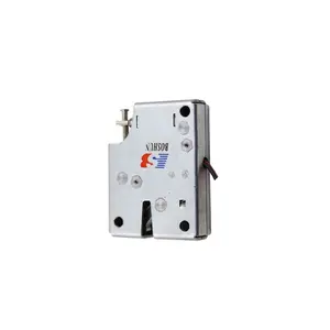 Maatwerk 12V 24V Solenoid Lock Rvs Elektrische Controle Lock Voor Express Kast/Elektronische Locker
