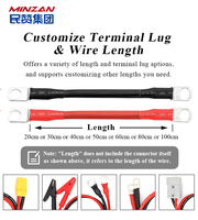 Câble de démarrage de batterie au lithium DC pour voiture OEM, 25 mm, 35 mm, 2, 3, 4, 5, 6 AWG, câble de connexion en silicone avec borne à anneau M8