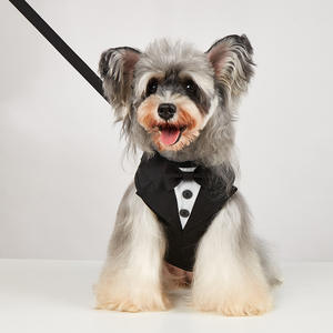 Pakaian anjing besar, sedang dan kecil, <span class=keywords><strong>Terrier</strong></span>, Pomeranian, Schnauzer setelan hewan peliharaan dengan tali dada dan belakang Aksesori dekorasi hewan peliharaan - Product Image 5
