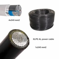 Cable de Alimentación Subterráneo de Cobre PVC Tipo TTU 2000V 600V 8AWG 2AWG 1*50.0 mm Industrial CN