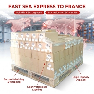 Transitario Profesional de Carga de China a Francia para FBA con Servicios Rápidos de Transporte Marítimo - Product Image 4