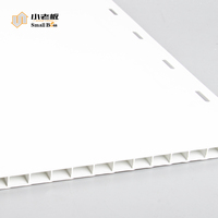 Panel de Pared y Techo de PVC Resistente al Agua, Encastrable, de Plástico para Lavaderos de Autos, Cuartos Limpios y Ambientes Húmedos