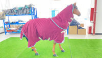 Couverture d'hiver imperméable personnalisée en gros pour chevaux, couverture d'écurie avec rembourrage en coton, produits équestres