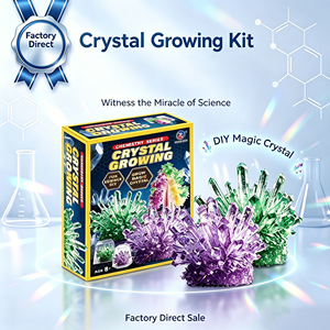 Kit de jouets scientifiques et d'ingénierie DIY : Kit expérimental didactique de culture de cristaux, jouets scientifiques de chimie - Product Image 5