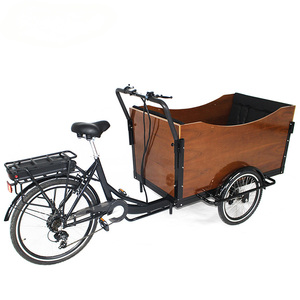 Véhicule à batterie lithium, cadre en acier, moteur sans balais 500W, livraison quotidienne, transport d'enfants, stable, sûr, moderne, T05 Kids Tr T05 Kids - Product Image 1