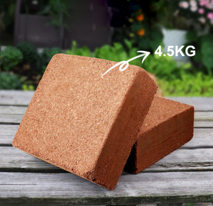 Grand bloc de coco naturel pour la plantation, tourbe de coco pour légumes, grands blocs de tourbe de coco pour plantes - Product Image 1