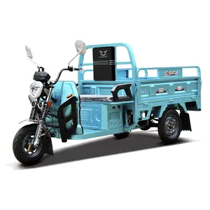 ZONSEN Electric Tricycles Heavy Duty Cargo Vehicle 1.5m 1200W High Speed Three Wheel New Electric Tricycle