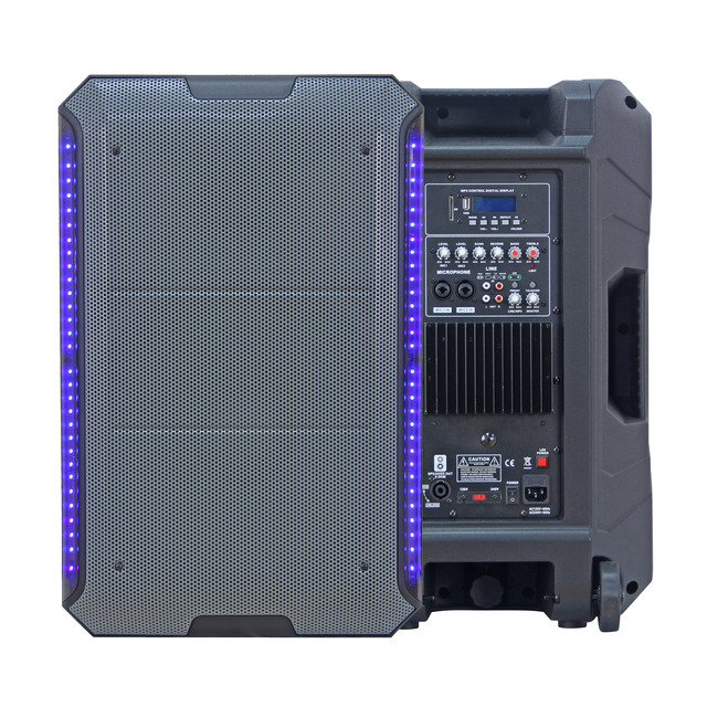 Private Model 15,000W 15" 4 Preset DSP Function Portable Speaker Box,audio Sound System, TWS/MIC/USB Etc. Bocina Parlant