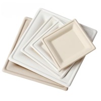 Assiettes jetables écologiques en bagasse de canne à sucre, carrées, grand format 10 pouces, extra résistantes, pour repas en famille et fêtes en extérieur