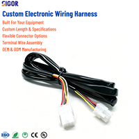 Harnais de câblage électronique personnalisé avec isolation en nylon pour équipements automobiles, motocycles, industriels, médicaux et électriques - OEM/ODM
