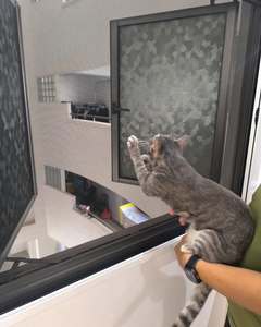 Heavy Duty Pet Resistant <b>Screen</b> <b>Mesh</b> Anti‑Scratch Cat Proof Polyester <b>Window</b> Door Insect <b>Screen</b> Roll for Australia - Product Image 6