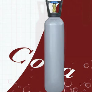 Mini Cilindro <span class=keywords><strong>de</strong></span> Gas CO2 Portátil <span class=keywords><strong>de</strong></span> 2L <span class=keywords><strong>2</strong></span>.67L 3.4L 5L, Botella <span class=keywords><strong>de</strong></span> Dióxido <span class=keywords><strong>de</strong></span> Carbono con Válvula CGA320, Tapa y Asa para Bebidas <span class=keywords><strong>de</strong></span> <span class=keywords><strong>Cola</strong></span> - Product Image 1