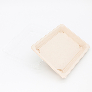 SUMKOKA Plateau de susi jetable sans PFAS Plateau de susi de canne à sucre personnalisé de qualité alimentaire plateau de champignon de fruit bagasse jetable avec couvercle en PET - Product Image 5
