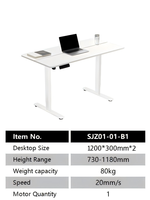 Bureau ergonomique moderne en fer, réglable en hauteur, durable, pour la maison, le bureau, la chambre, l'immeuble de bureaux - Mobilier commercial