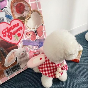 Cute Plaid Rabbit Cape For Pets Red Lattice Pattern Decorative Bib All Seasons Pet <b>Clothes</b> - Product Image 2