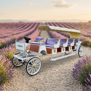 Grande calèche électrique sans chevaux pour 11 passagers, véhicule touristique vintage pour sites panoramiques - Product Image 1