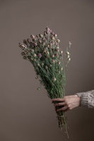 Vente en gros gousses de nigelle séchées naturelles pour décoration de vase de fête mariage