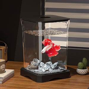 Creative Simple Transparent Mini Tortue Réservoir Moderne De Luxe Style Épaissi Petit Fish Tank Aquariums Modernes - Product Image 2