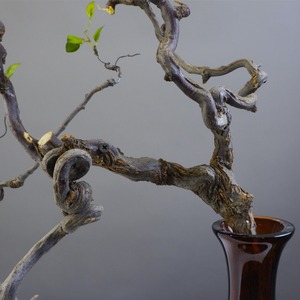 Arbres artificiels en bois de <span class=keywords><strong>jujube</strong></span> rétro, branches de fleurs séchées pour Noël et Pâques, plante artificielle de style rétro unique - Product Image 6