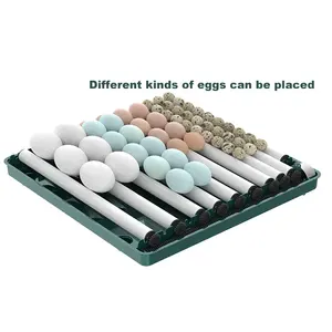 48 चिकन अंडे इनक्यूबेटर और सेने की मशीन बिक्री के लिए सस्ते छोटे अंडे इनक्यूबेटर