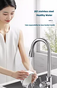 201 Stainless Steel Kitchen Taps Faucet Pull-Out Retractable Sink Faucet