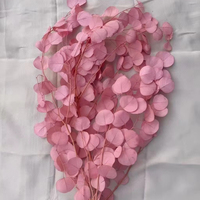Plante d'Eucalyptus Cinerea Naturelle et Véritable, Préservée, Feuilles Vertes Séchées, Préservation à la Glycérine, 50-60cm, Collection 2026