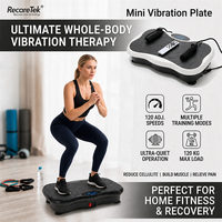 500W Crazy Fit Masaj Aleti Titreşimli Platform Egzersiz Makinesi Kilo Verme Süper Vücut Vibratörü Ce Rohs Mini Fitness Platformu Ev Tipi