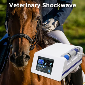 Máquina de Terapia de Ondas de Choque Electromagnéticas Neumáticas para Alivio del Dolor en Caballos, con Sistema de Enfriamiento por Aire, para Uso Comercial - Product Image 4