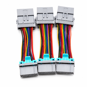 Vente en gros de faisceaux de câbles automobiles personnalisés multicolores haute densité pour système électrique de véhicule - Product Image 1