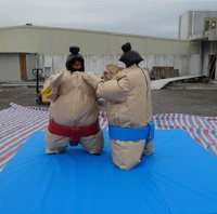 Jeux de sports de combat, combinaisons de lutte sumo