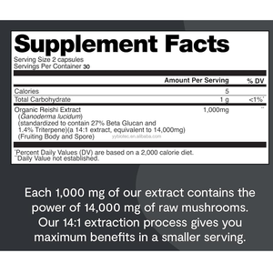 Suplemen Jamur Super Reishi Merah Label Pribadi Laris Manis, Suplemen Herbal Ayurveda, Kapsul Nootropik - Product Image 5