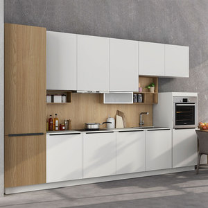 Pannello Moderno in PVC/Acrilico con Lavello e Accessori per Cerniere per Mobili da Cucina Modulari per Appartamenti - Product Image 2