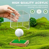 Support de cube de support de souvenirs en acrylique transparent avec vitrine de balle de golf à base en bois avec base en gazon