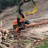 Tête de débardage forestier, processeur de grumes, processeur d'arbres, accessoire de débardage, accessoire forestier pour excavatrice, unité de traitement du bois