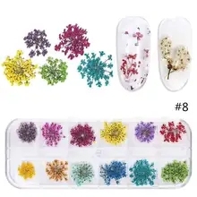 1 boîte de 24 fleurs séchées pour <span class=keywords><strong>nail</strong></span> <span class=keywords><strong>art</strong></span>, 12 couleurs, mini fleurs séchées, fleurs naturelles réelles, appliques 3D pour ongles, autocollants de décoration pour ongles - Product Image 3