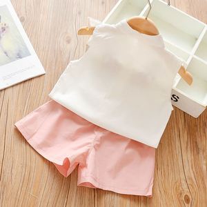 Productos Más Vendidos, Conjunto Formal para Bebés Niñas, Blusa Sin Mangas de Color Claro con Bordado y Pantalón Holgado - Product Image 2