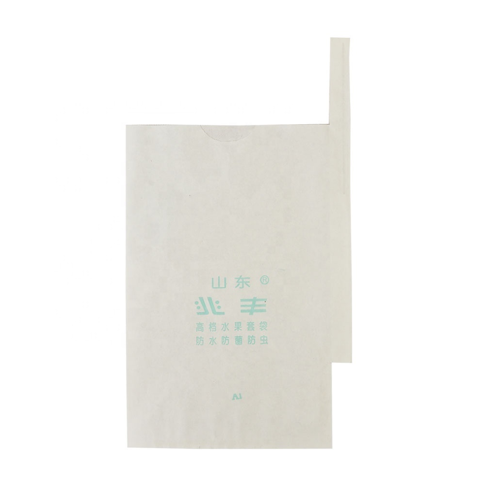 Fruta bolsa de papel de guayaba de la bolsa de papel de guayaba de protección bolsa de papel