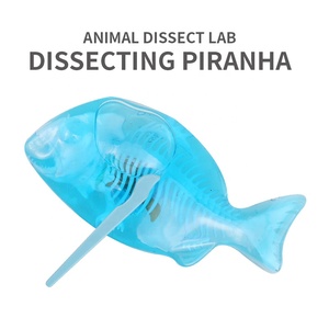 Banatoy Daily Surprise Anatomy Games Animal Dissect Club Piranha Dissecting Relaxing Squeeze Toys para niñas - Product Image 2