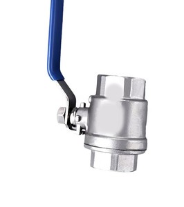 Embouts filetés en acier inoxydable et acier au carbone CF8 CF8M de 4 pouces, 2 pièces, OEM manuel - Product Image 1