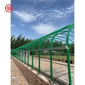 China professional low cost agricultural greenhouse tunnel