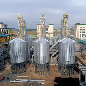 Silo de Acero Galvanizado de 275-600 g/m2 para Cereales, Silo Metálico Inteligente de 100-5000 Toneladas para Almacenamiento de Trigo, Granos y Maíz - Product Image 6