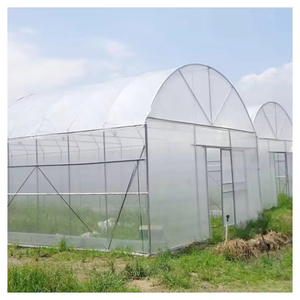 Prix d'usine personnalisé en plastique résistant aux UV hydroponique fraise tomate tente <span class=keywords><strong>de</strong></span> culture serre <span class=keywords><strong>à</strong></span> <span class=keywords><strong>vendre</strong></span> - Product Image 1