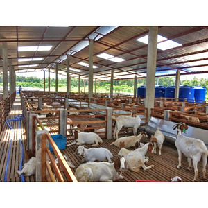 Maison de logement bon marché hangar de grange de moutons préfabriqués - Product Image 6