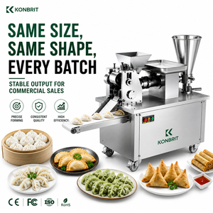 Macchina Elettrica per Ravioli e Empanadas Rolando ad Alta Efficienza e Buon Prezzo - Product Image 6