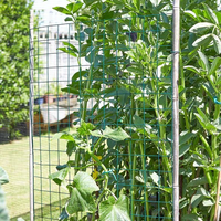 Rouleau de grillage soudé carré robuste en PVC de 1''/2'' avec pliage pour cages de volailles et de lapins agricoles et cloisons d'entrepôt