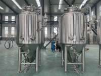 Fermenteur conique en acier inoxydable SUS304 100L-500L pour microbrasserie, brassage commercial de bière