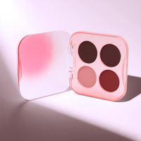 Palette de fards à paupières professionnelle en plastique, format portable, 4 couleurs, pigment mat, fard à paupières nacré chatoyant