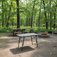 Table de pique-nique pliante moderne en alliage d'aluminium pour le camping, avec hauteur réglable et design IGT